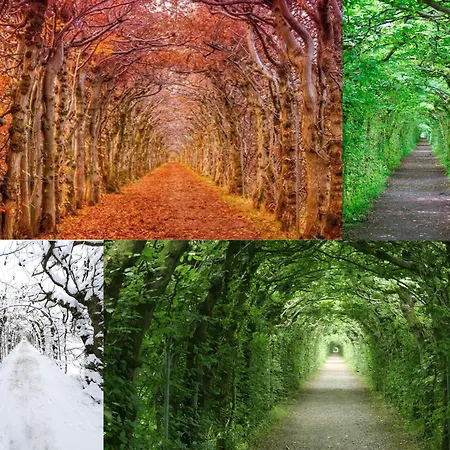 Le Flanelmont Alojamento de Acomodação e Pequeno-almoço Theux