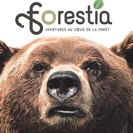 Bed & Breakfast Le Flanelmont