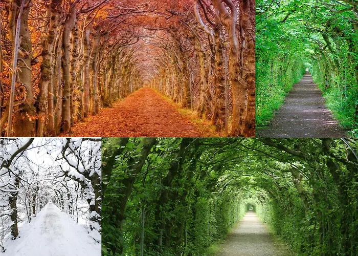 Le Flanelmont Bed & Breakfast Theux