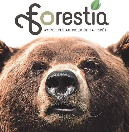 Alojamento de Acomodação e Pequeno-almoço Le Flanelmont